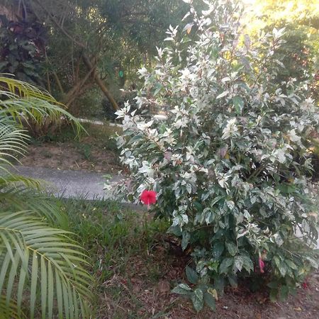 Koh Mook Bamboo Bungalows 외부 사진
